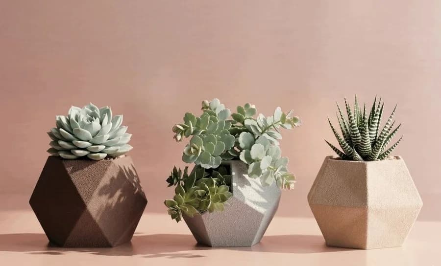 GeoTrio Planter
