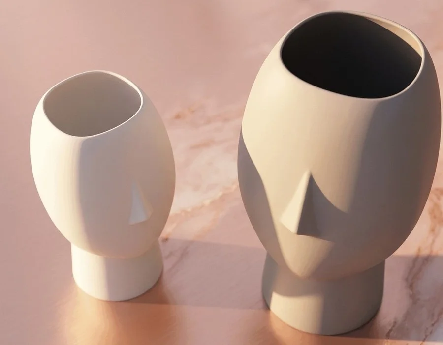 The Face Vase